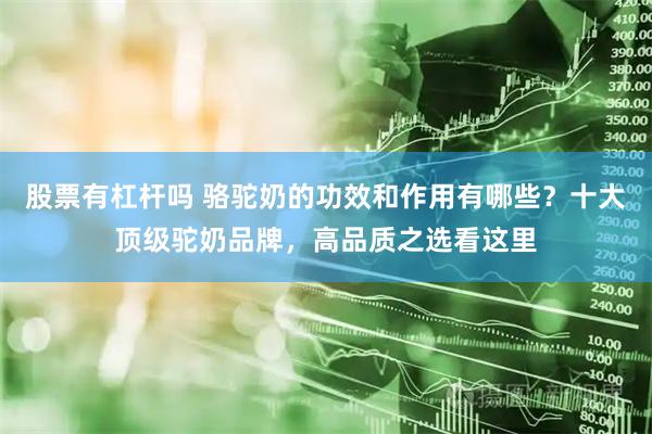 股票有杠杆吗 骆驼奶的功效和作用有哪些？十大顶级驼奶品牌，高品质之选看这里