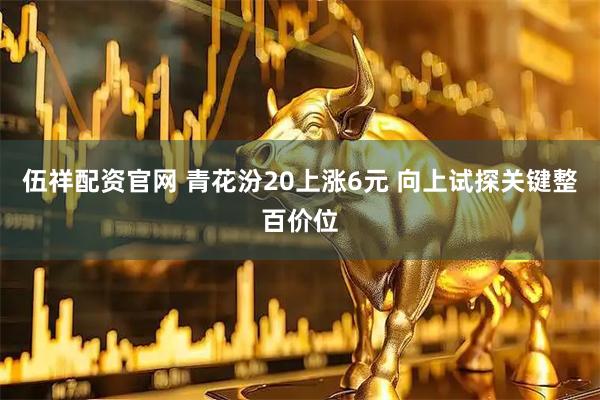 伍祥配资官网 青花汾20上涨6元 向上试探关键整百价位